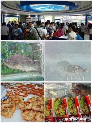 盘点2015中国国际水产博览会不容错过的新产品、新商机 - 每日头条 - 中国水产频道 | 网聚全球水产华人