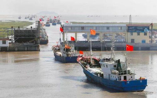 连云港海域全面开海 两千余艘渔船出海秋捕