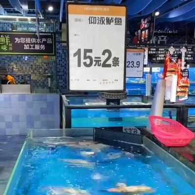 大开眼界?广东一超市售卖翻肚鱼,老板一本正经贴牌"仰泳鲈鱼"